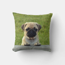 Almofada Pet Pet PUG Puppy - personalize-o