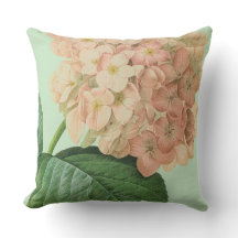 Pierre Redoute Hydrangea Flor