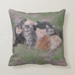 Almofada Pilha dos gatinhos