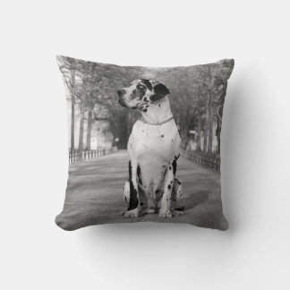 Almofada Pillow Great Dane