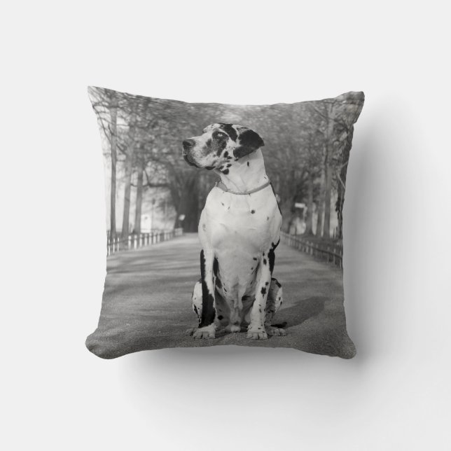 Almofada Pillow Great Dane (Frente)