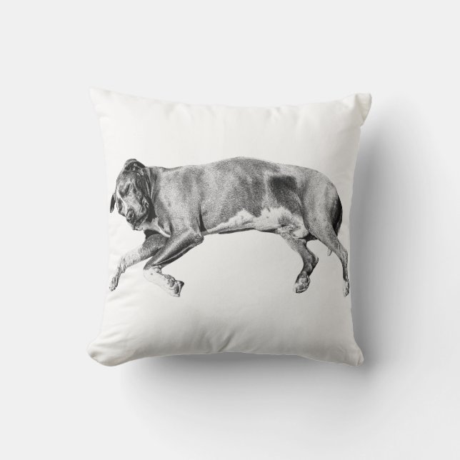 Almofada Pillow-Side Dreams for December (Frente)