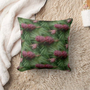 Almofada Pine Cones E Pine Agulha
