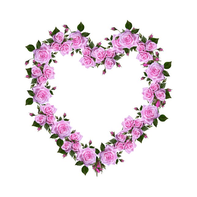 Almofada Pink Rose Heart Floral Decorative Pillow (Nice pillow
https://www.zazzle.com/pink_rose_heart_floral_decorative_pillow-256871750285314100)