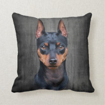 Pinscher diminuto