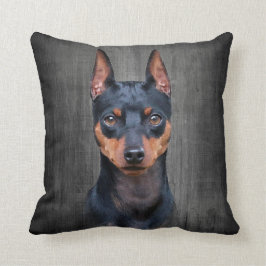 Almofada Pinscher diminuto