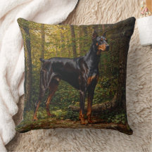 Pinscher Dobermann