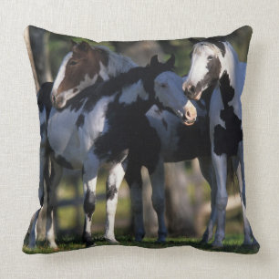 Almofada Pinte cavalos
