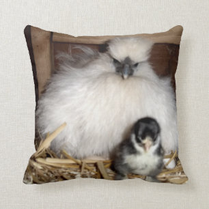 Almofada Pintinhos e galinha de Silkie da mãe