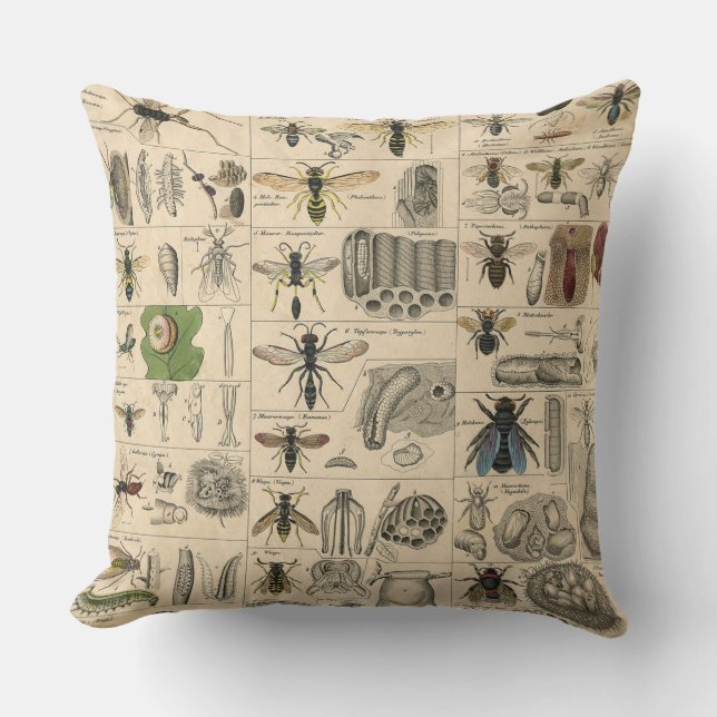 Almofada Pintura De Abelhas Insetos Insetos Vaza Natureza N (Frente)