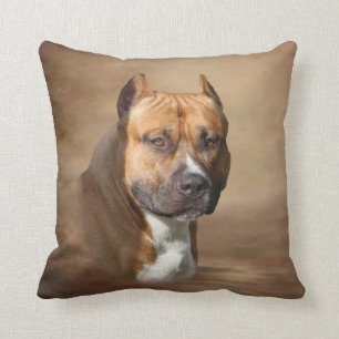 Almofada Pitbull americano
