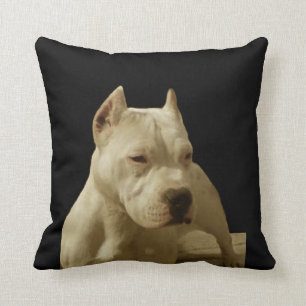 Almofada Pitbull branco Terrier