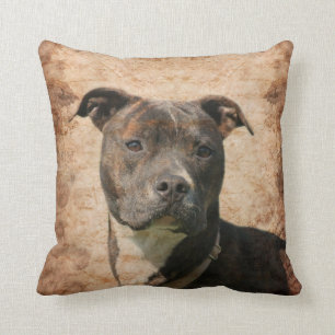 Almofada Pitbull Terrier