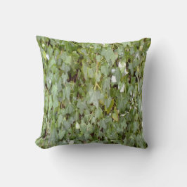 Almofada Planta que cobre a parede de pedra