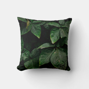 ALMOFADA PLANTA VERDE EM FOTOGRAFIA DE FOCO