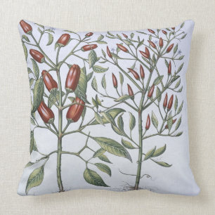 Almofada Plantas da pimenta, 'do Hortus Eystettensi