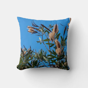 Almofada Plantas Natureza Fotografia