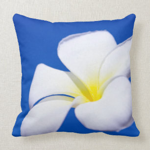 Almofada Plumeria tropical branco bonito e céu azul