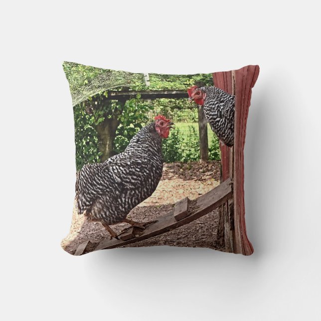 Almofada Plymouth Rock Hens (Frente)