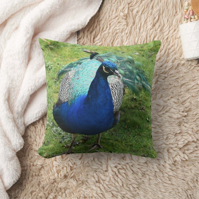 Almofada Poder do Pavão Real (Cobertor)