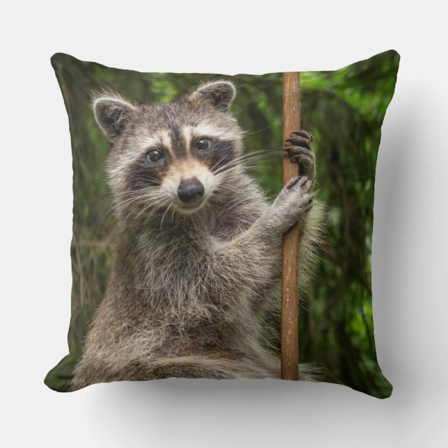 Almofada Pole Dancing Raccoon (Frente)