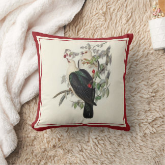 Almofada Pombo de Fruta de cabeça branca,
