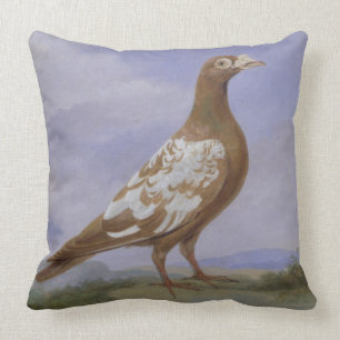 Almofada Pombo de portador Pied vermelho (óleo em canvas)