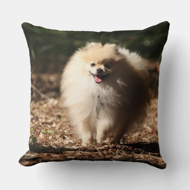 Almofada Pomeranian que trota nas folhas caídas (Frente)