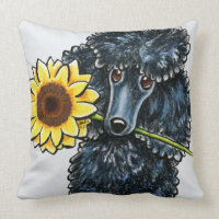 Poodle Miniatura Negra Sunny
