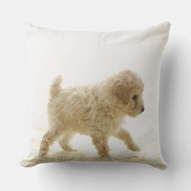 Almofada Poodle Puppy (Frente)