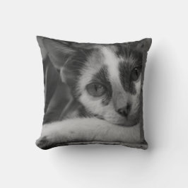 Almofada Por favor gatinho