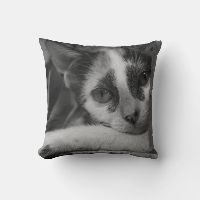 Almofada Por favor gatinho (Frente)