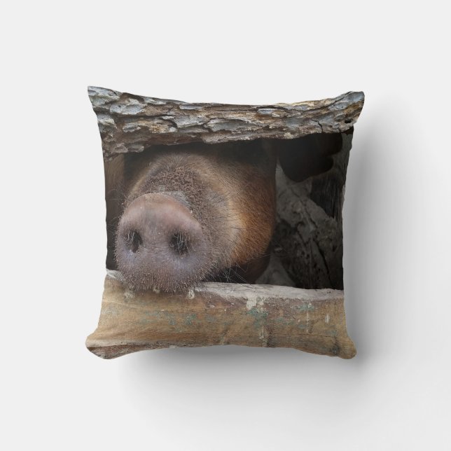 Almofada Porco Castanho Poking Nose através da Cerca Russa (Frente)