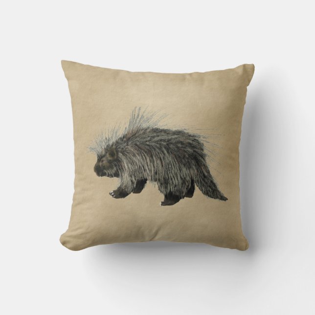 Almofada Porcupine Em Papel Antigo (Frente)