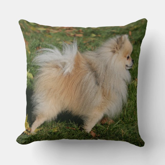 Almofada Posição de Pomeranian (Frente)