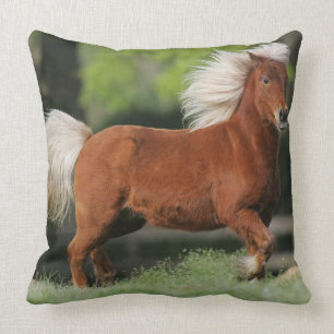 Almofada Posição diminuta do cavalo