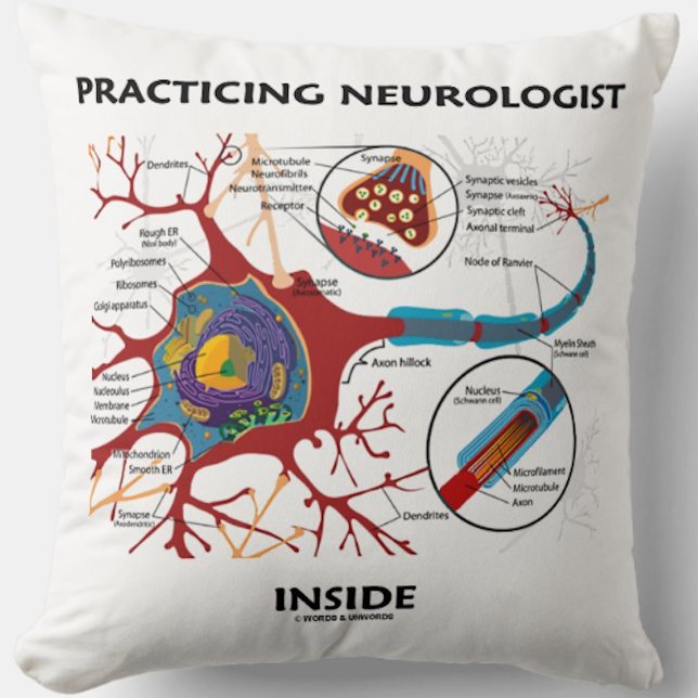 Almofada Praticando Neurologista Dentro Neuron Synapse (Neurologists will enjoy this throw pillow featuring a neuron/synapse + the medical saying)