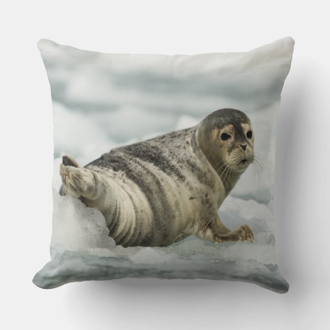 Almofada Precioso Baby Seal (Frente)