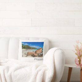 Almofada Presente na praia da Anse Lazio, ilha das Seichele