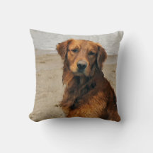 Presentes de Arte para Retriever do Ouro Lakeside
