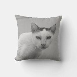 Almofada Preto e Branco - Cat 02