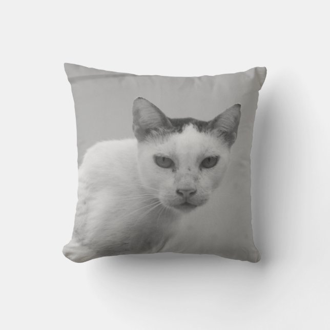 Almofada Preto e Branco - Cat 02 (Frente)