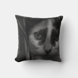 Almofada Preto e branco - Kitten 02