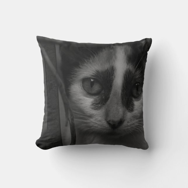 Almofada Preto e branco - Kitten 02 (Frente)