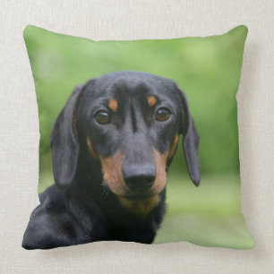 Almofada Preto e Dachshund 1 de Tan Miniture