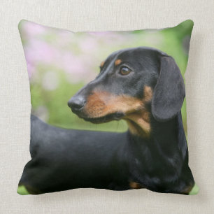 Almofada Preto e Dachshund 2 de Tan Miniture