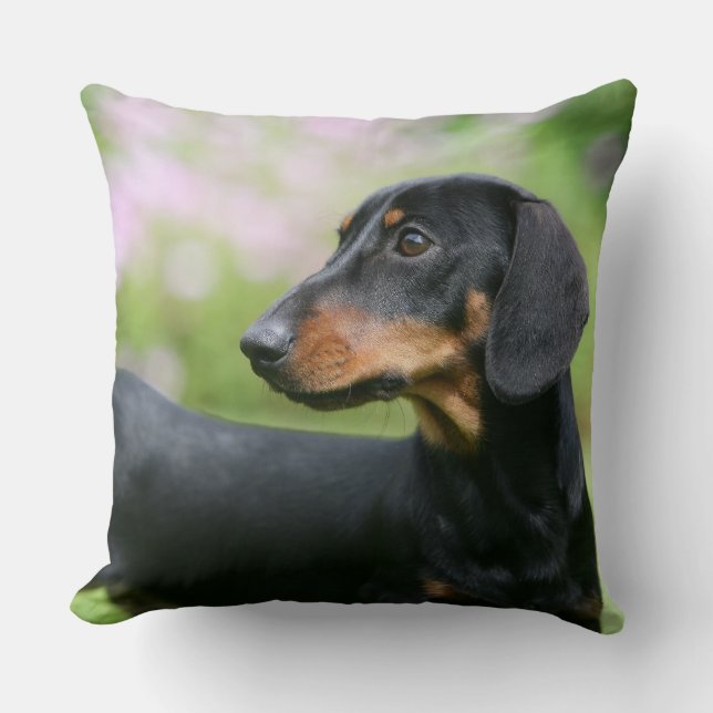 Almofada Preto e Dachshund 2 de Tan Miniture (Frente)