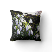 Primavera de Fotografia de Botas de Neve