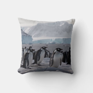 Almofada Procissão de Pinguins - Vida Selvagem Antártica