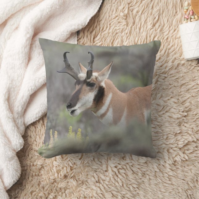 Almofada Pronghorn Antelope Buck | Grand Tetons (Cobertor)